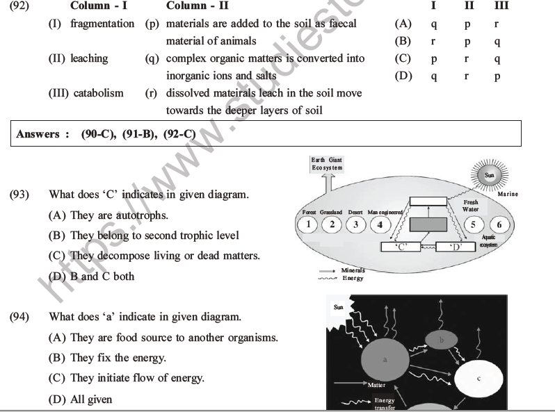 NEET Biology Ecosystem MCQs Set B-32