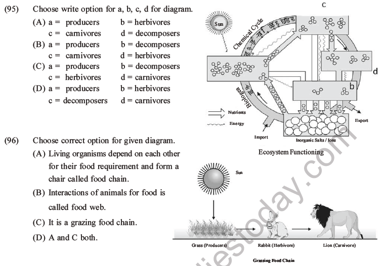 NEET Biology Ecosystem MCQs Set B-33