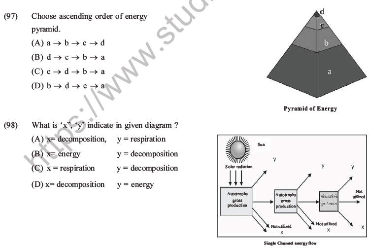 NEET Biology Ecosystem MCQs Set B-34