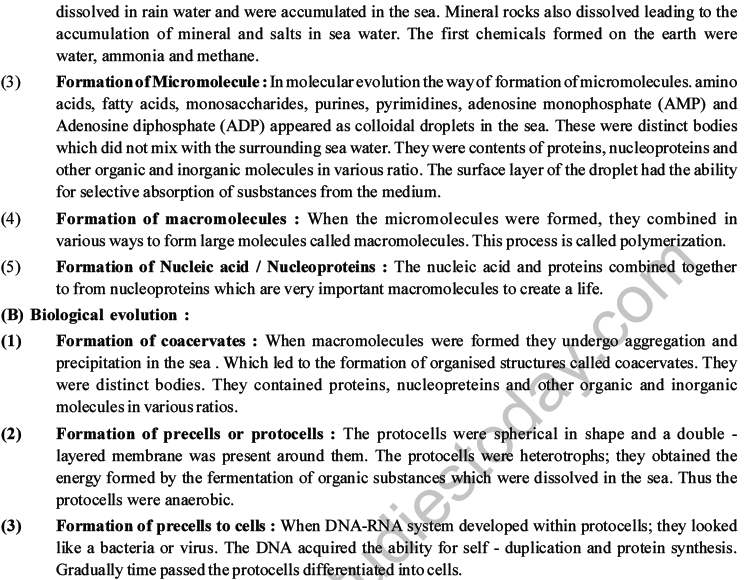 NEET Biology Evolution MCQs Set B-1