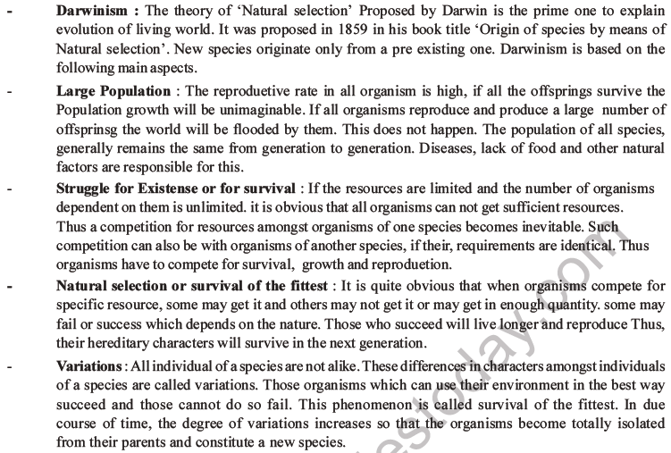 NEET Biology Evolution MCQs Set B-11