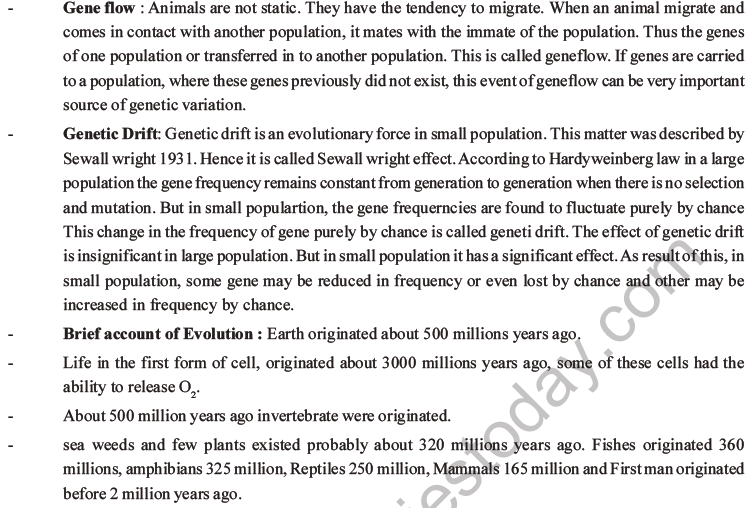 NEET Biology Evolution MCQs Set B-15