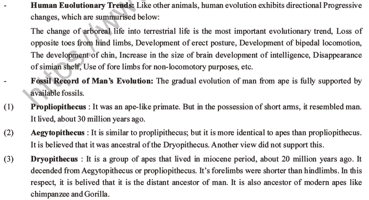 NEET Biology Evolution MCQs Set B-19