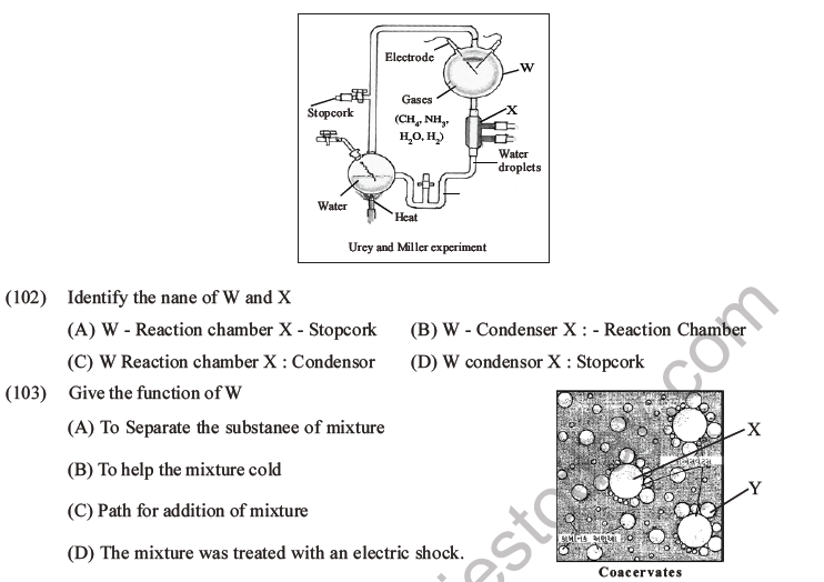 NEET Biology Evolution MCQs Set B-30