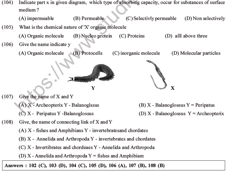 NEET Biology Evolution MCQs Set B-31