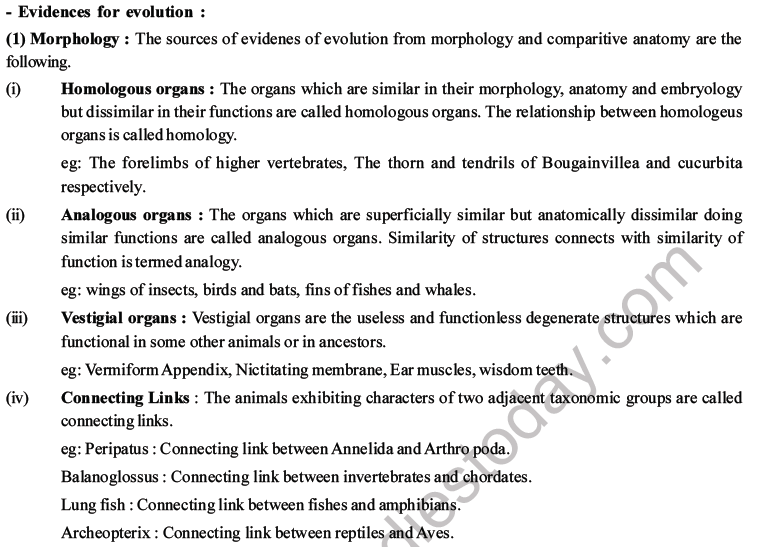 NEET Biology Evolution MCQs Set B-5