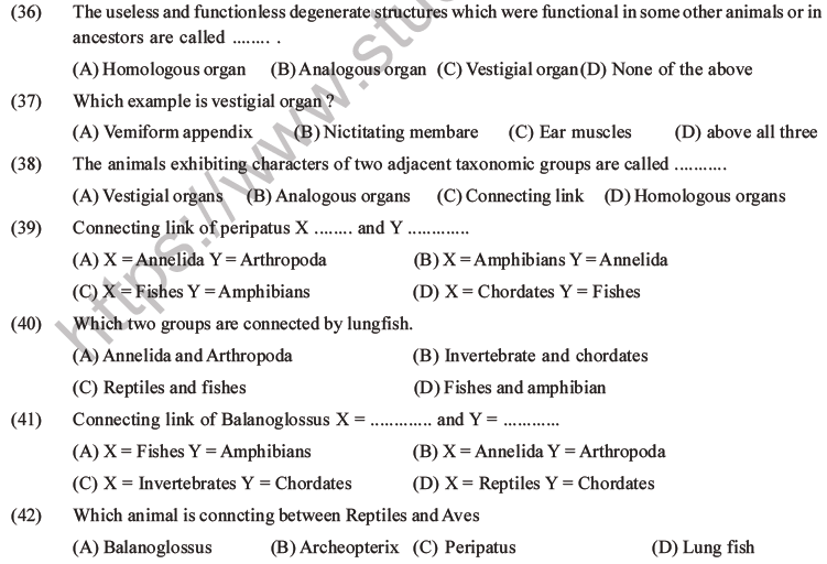 NEET Biology Evolution MCQs Set B-8