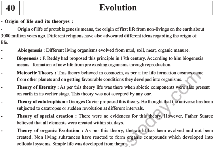 NEET Biology Evolution MCQs Set B