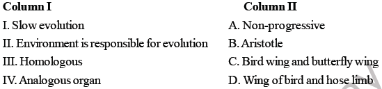 NEET Biology Evolution MCQs-3