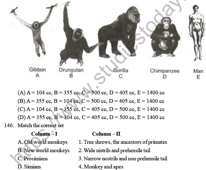 NEET Biology Evolution MCQs-6