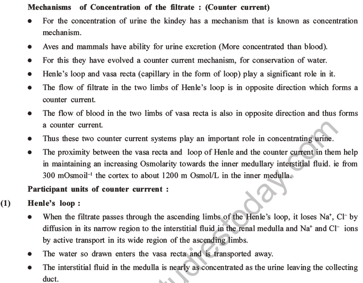 NEET Biology Excretory Products and Their Elimination MCQs Set B-17