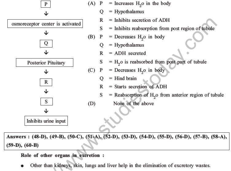 NEET Biology Excretory Products and Their Elimination MCQs Set B-26