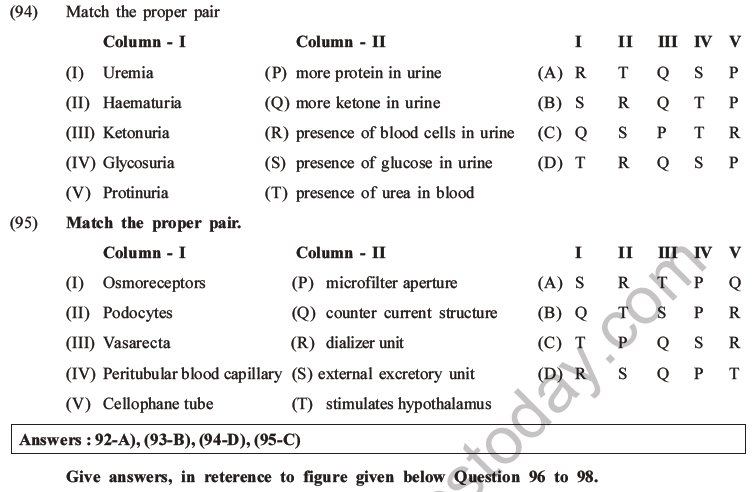 NEET Biology Excretory Products and Their Elimination MCQs Set B-38