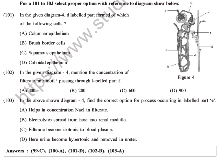 NEET Biology Excretory Products and Their Elimination MCQs Set B-41