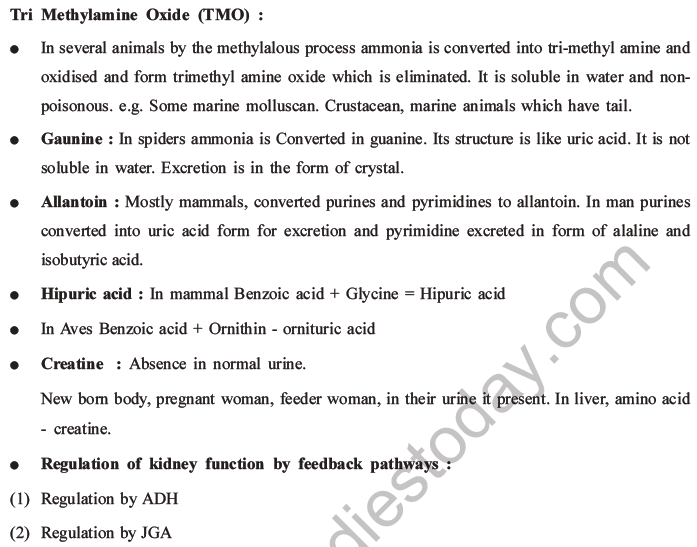 NEET Biology Excretory Products and Their Elimination MCQs Set B-44