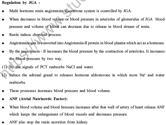 NEET Biology Excretory Products and Their Elimination MCQs Set B-45