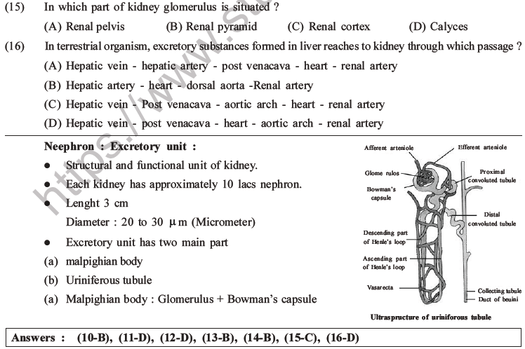 NEET Biology Excretory Products and Their Elimination MCQs Set B-5