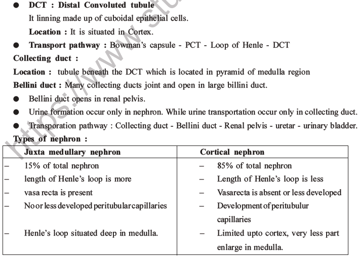 NEET Biology Excretory Products and Their Elimination MCQs Set B-7
