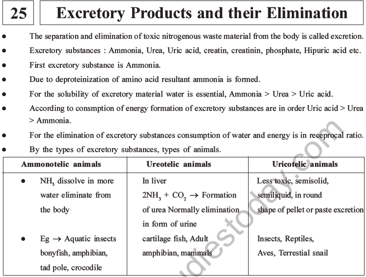NEET Biology Excretory Products and Their Elimination MCQs Set B