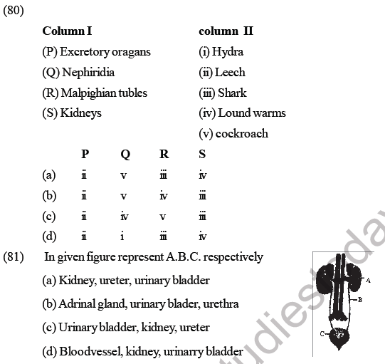 NEET Biology Excretory Products and Their Elimination MCQs-Q80