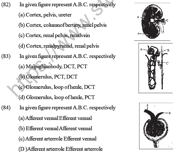 NEET Biology Excretory Products and Their Elimination MCQs-Q83