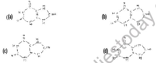 NEET Biology Excretory Products and Their Elimination MCQs