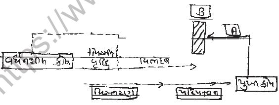 NEET Biology Growth and Development MCQs Set A-122