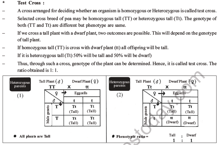 NEET Biology Heredity and Variation MCQs Set B-14