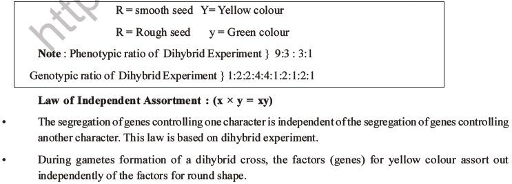 NEET Biology Heredity and Variation MCQs Set B-18