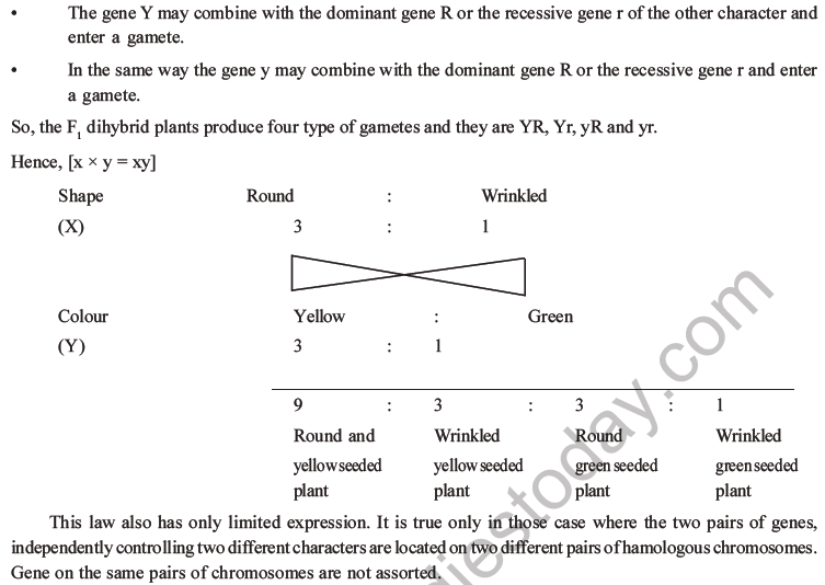 NEET Biology Heredity and Variation MCQs Set B-19