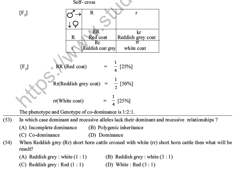 NEET Biology Heredity and Variation MCQs Set B-26