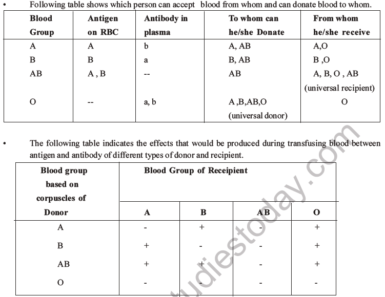 NEET Biology Heredity and Variation MCQs Set B-31