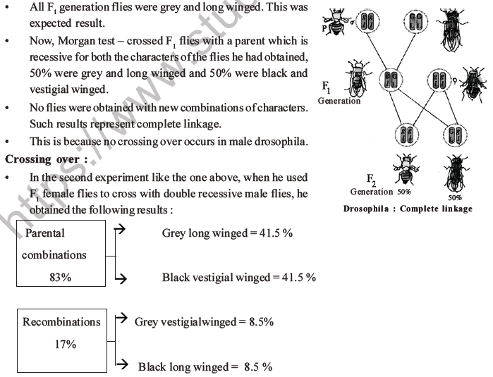 NEET Biology Heredity and Variation MCQs Set B-47