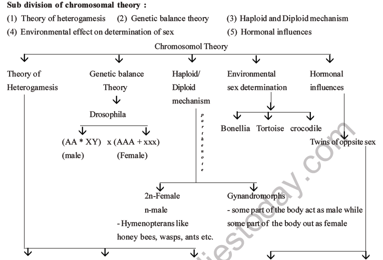 NEET Biology Heredity and Variation MCQs Set B-53