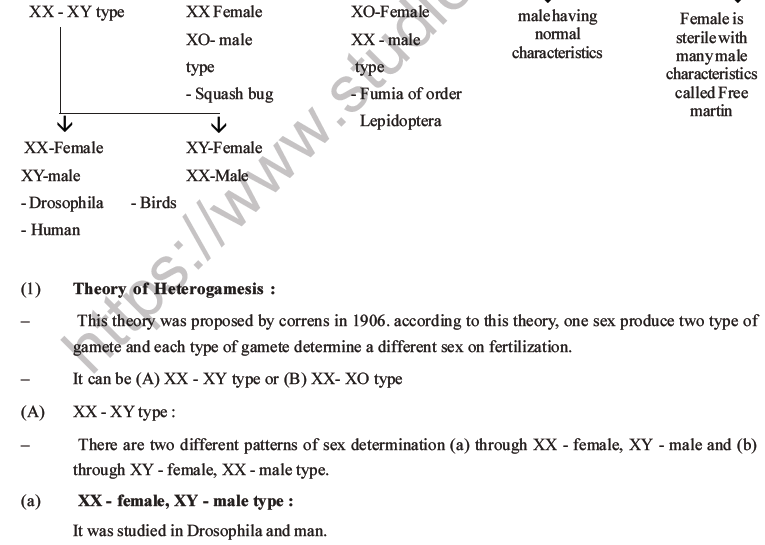 NEET Biology Heredity and Variation MCQs Set B-54