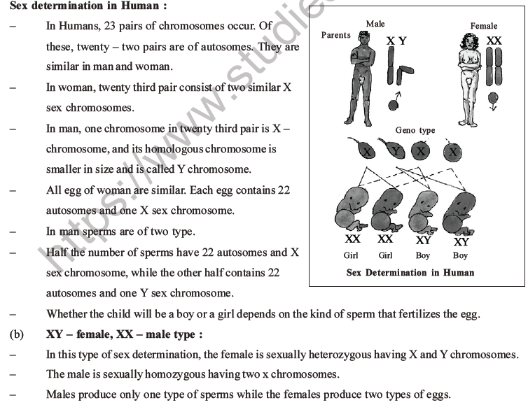 NEET Biology Heredity and Variation MCQs Set B-56