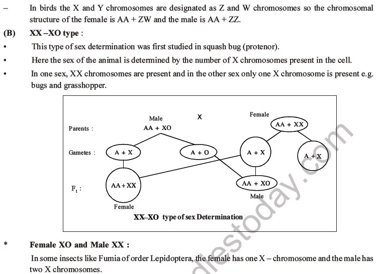 NEET Biology Heredity and Variation MCQs Set B-57