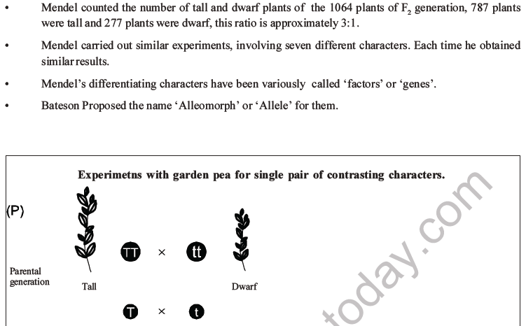 NEET Biology Heredity and Variation MCQs Set B-6