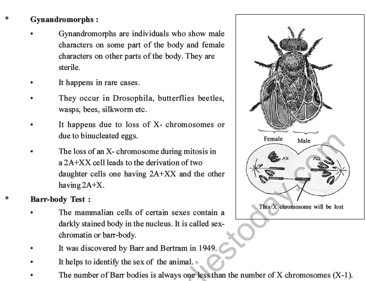 NEET Biology Heredity and Variation MCQs Set B-65