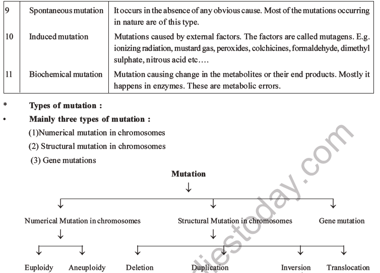 NEET Biology Heredity and Variation MCQs Set B-75