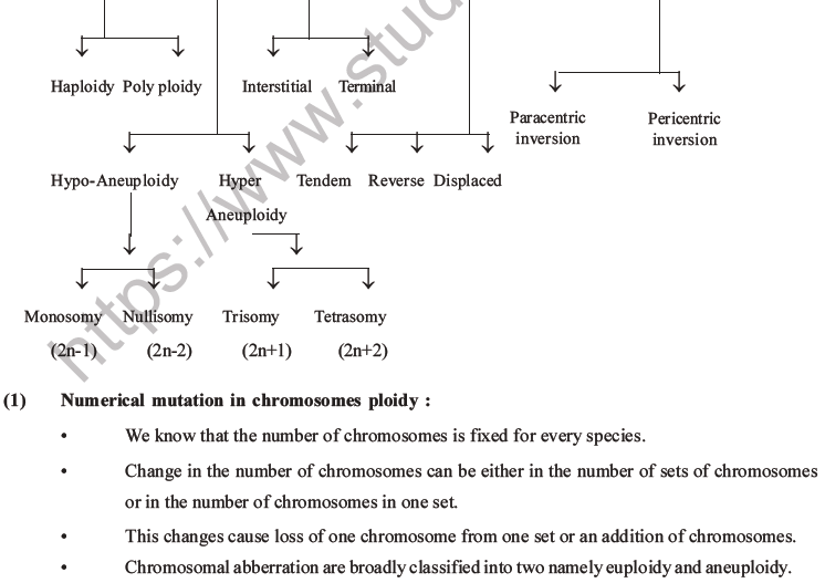 NEET Biology Heredity and Variation MCQs Set B-70