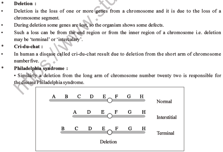 NEET Biology Heredity and Variation MCQs Set B-80