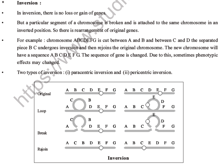 NEET Biology Heredity and Variation MCQs Set B-82