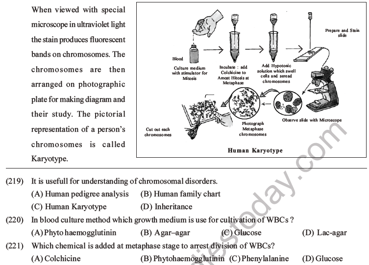 NEET Biology Heredity and Variation MCQs Set B-97