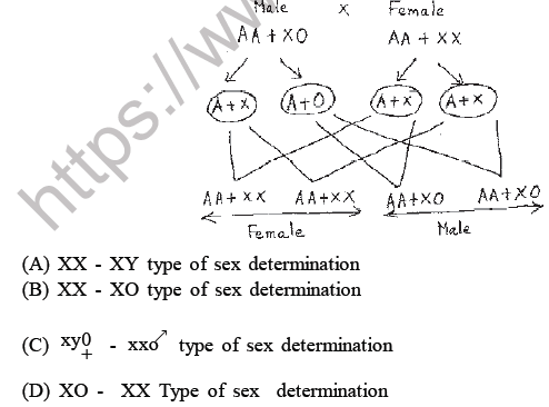 NEET Biology Heredity and Variation MCQs Set-3
