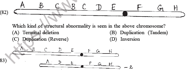 NEET Biology Heredity and Variation MCQs Set-Q82