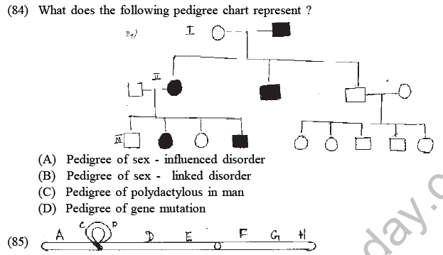 NEET Biology Heredity and Variation MCQs Set-Q84