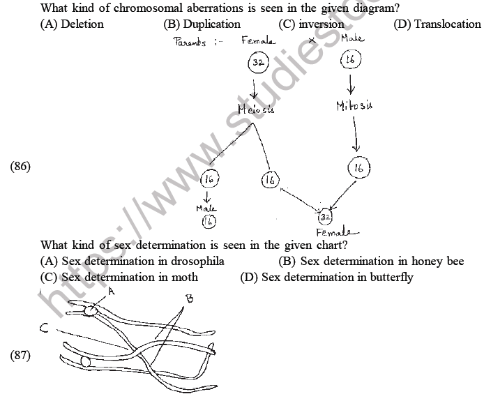 NEET Biology Heredity and Variation MCQs Set-Q86