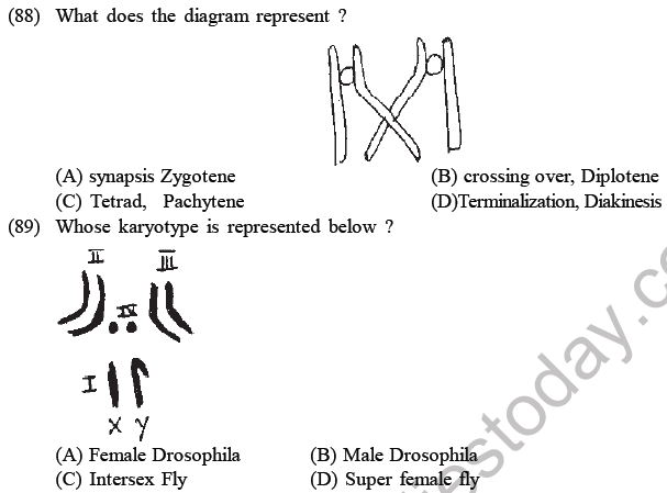 NEET Biology Heredity and Variation MCQs Set-Q88