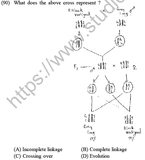 NEET Biology Heredity and Variation MCQs Set-Q90